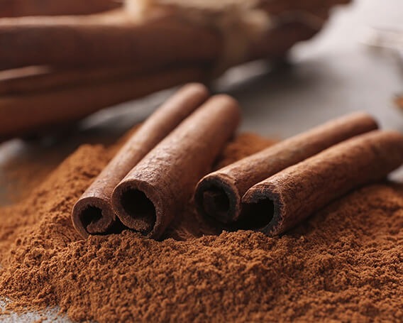 Quality Check Standards